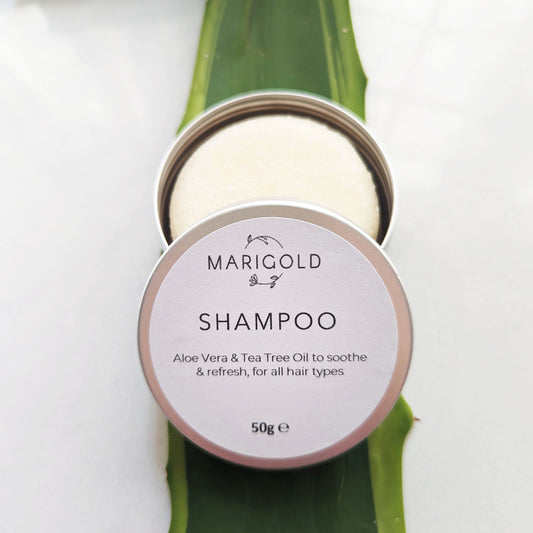 Aloe Vera & Tea Tree Oil Solid Shampoo Bar open tin on Aloe Vera leaf