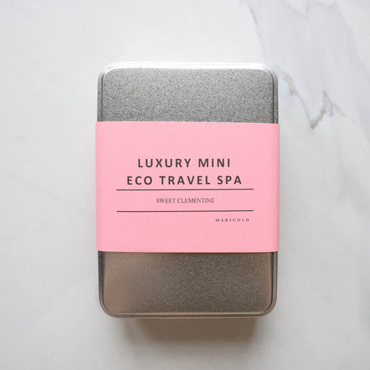 Luxury Mini Eco Travel Kit
