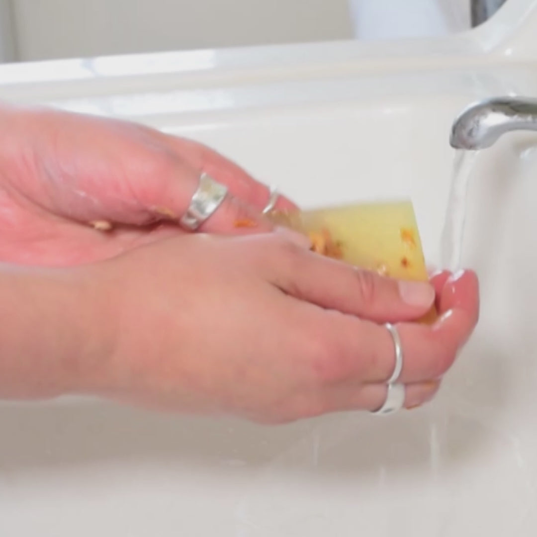 sopa handwashing video